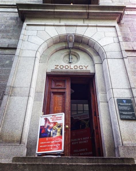 Gallery Zoology Trinity College Dublin