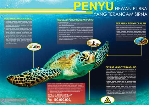 Komunitas Penyuluh Perikanan Mengenal Dan Melestarikan Penyu