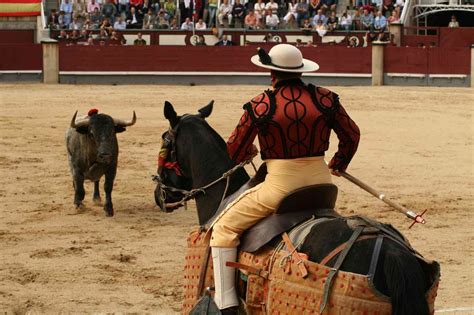 El Toro De Cenicientos La Suerte De Varas Algo Que Hay Que Cuidar