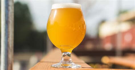 Qué es una Hazy IPA