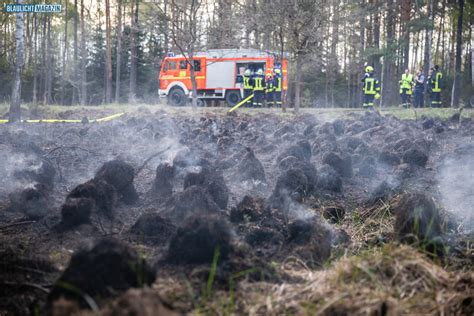 Waldbrand Im Dubringer Moor In Sachsen Blaulicht Magazin Net