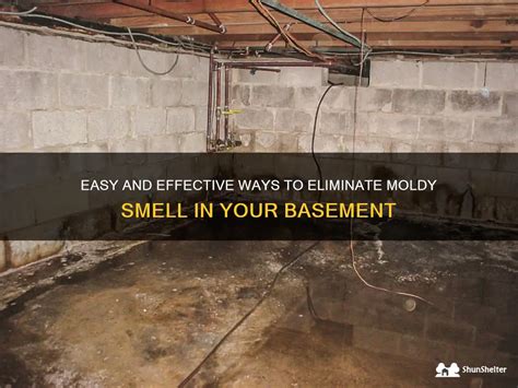 Easy And Effective Ways To Eliminate Moldy Smell In Your Basement