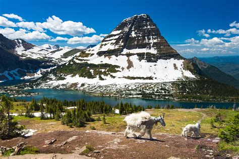 9 Of The Best Glacier National Park Hikes The Planet D