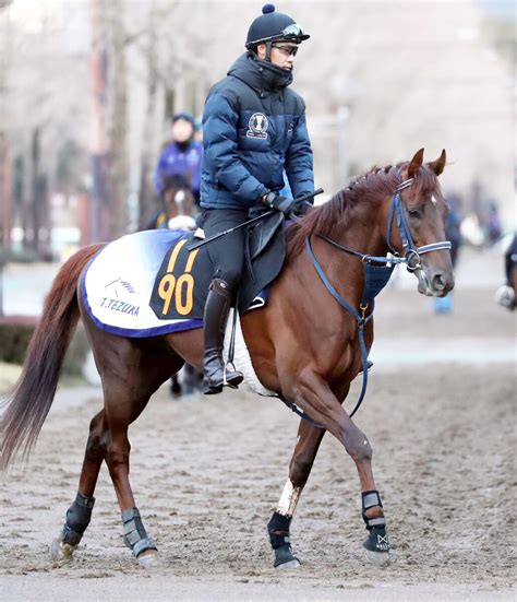 【岩田康誠の熱血！！競馬道】ペッレグリーニの自在性生かしたい Umatoku 馬トク