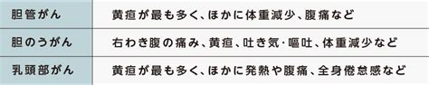 胆道がんについて リトゴビ錠の治療を受けられる患者さん・ご家族の方へ 大鵬薬品