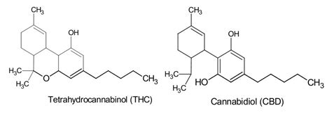 Cannabidiol (CBD) - Erklärung & Wirkung - CBD VITAL Magazin