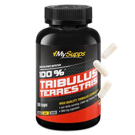 Buy My Supps 100 Tribulus Terrestris 180 Caps In Dubai Abu Dhabi