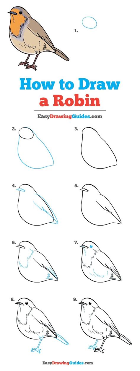 How To Draw A Robin Really Easy Drawing Tutorial Drawing Tutorial