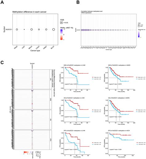 Identifying The Role Of Nudcd In Human Tumors From Clinical And