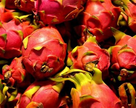 Los Beneficios De La Pitahaya O Fruta Del Dragón Y Las Variedades De