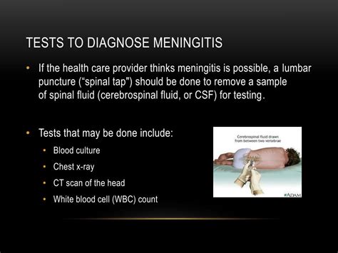 Ppt Meningococcal Meningitis Powerpoint Presentation Free Download