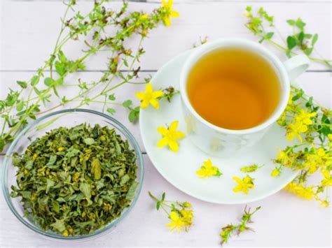 6 Incredible Benefits of St John's Wort Tea | Organic Facts