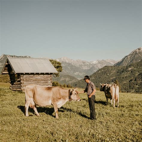 Heumilch Sorgt F R Tierwohl Hof Milch Allg U