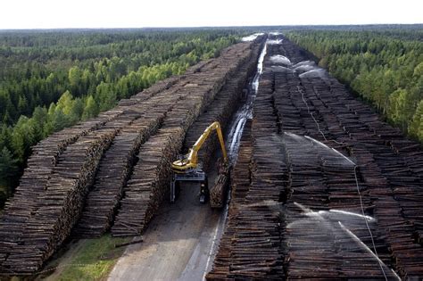 Леса Норвегии
