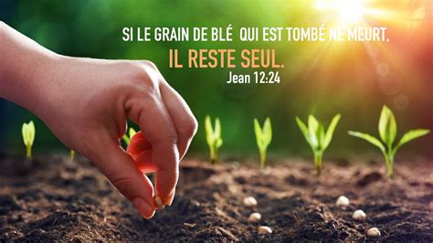 Exhortation SI LE GRAIN DE BLÉ QUI EST TOMBÉ EN TERRE NE MEURT IL