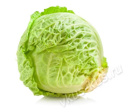 Капуста белокочанная - как правильно выбрать, описание продукта ...