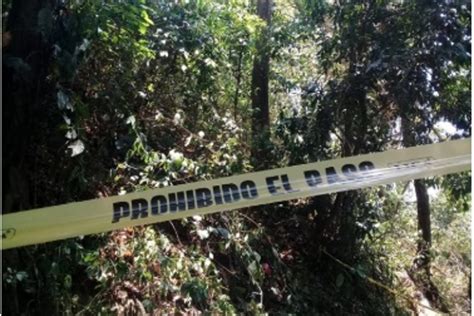 Campesino Muere Al Caerle Encima Rama De árbol En Hueyapan De Ocampo Veracruz Xeu Noticias