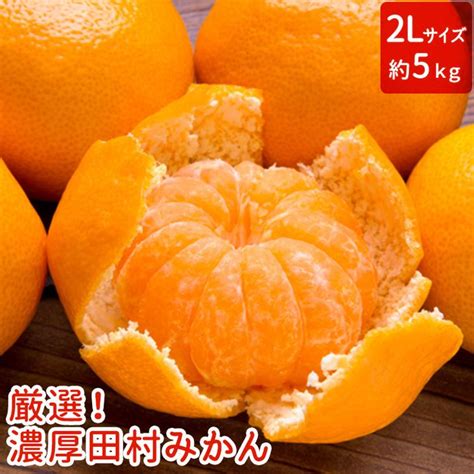 Ab7114【和歌山特産品】【プレミアムブランド】絶品！ 田村みかん 5kg 2lサイズ 和歌山県湯浅町 セゾンのふるさと納税