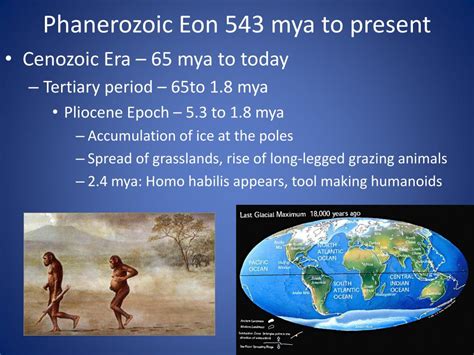 PPT The History Of Life On Earth PowerPoint Presentation Free