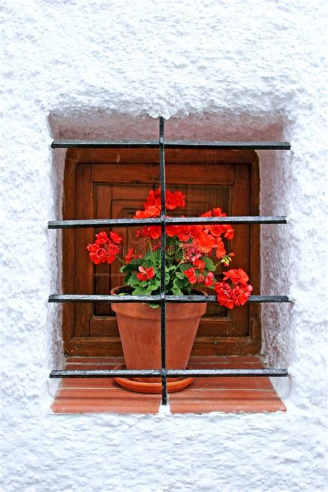 Red Potted Plant Window Sill Bars Stock Photos Free Royalty Free