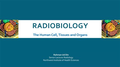 Radiobiology Human Cell Ppt