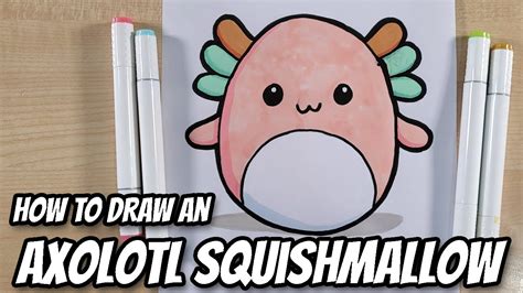 How To Draw An Axolotl Salamander Easy Cute Squishmallow Youtube