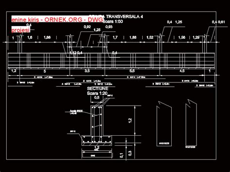 Proje Sitesi Enine Kiri Autocad Projesi