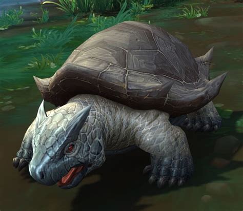 Clearwater Turtle Warcraft Wiki Your Wiki Guide To The World Of