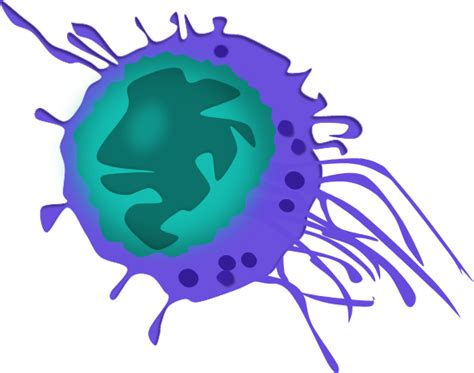 Natural Killer Cell Based Assays Nexus