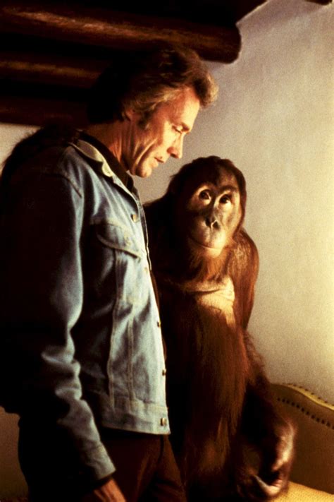 'Dawn of the Planet of the Apes': Other Monkey and Ape Movies