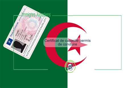 Certificat de capacité permis de conduire Immigre Algerien