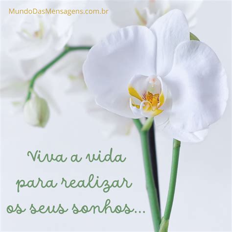 Viva A Vida Mensagens - Viva a vida para realizar os seus sonhos. – Mundo das Mensagens