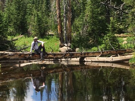 Crystal Lake Trail - Utah | AllTrails