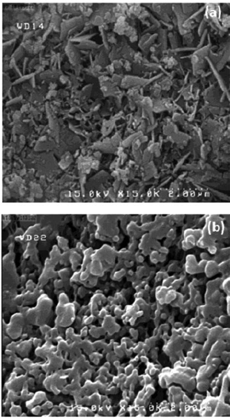 SEM Images Of Synthesized Zinc Oxide Nanoparticles A And PMMA ZnO