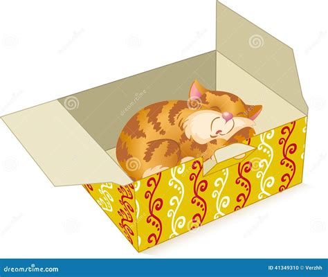 Kitten In A Box Stock Vector Illustration Of T Paper 41349310