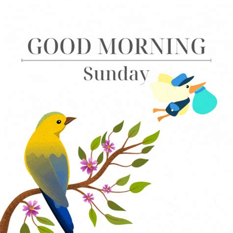 Good Morning Gif Images Happy Sunday - Infoupdate.org