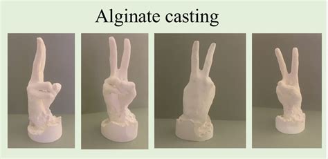 Peace / Two Hand gesture ️Alginate casting | 3d art projects, Art projects, 3d art