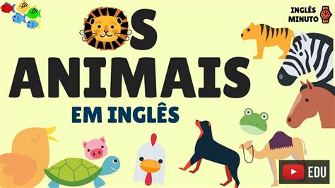 Peixe Em Ingles Como Se Escreve