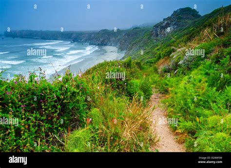 Der Weg Zum Sand Dollar Beach Los Padres National Forest Big Sur