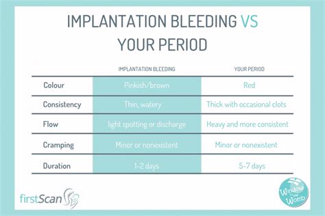 Implantation Bleeding In Early Pregnancy Window To The Womb