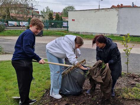 School Library Activities For Sustainable Development — The Europe