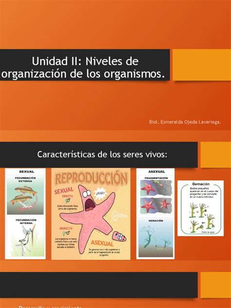 Unidad Ii Niveles De Organizacion De Los Organismos Pdf Organismos Biología Celular