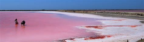 Que Hay Entre La Playa Y El Mar Rosado Nuestra Playa