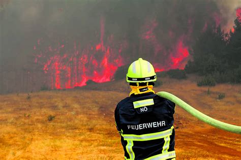 Risiko F R Waldbrand Gefahr F R W Lder Im Bezirk Waidhofen Besteht