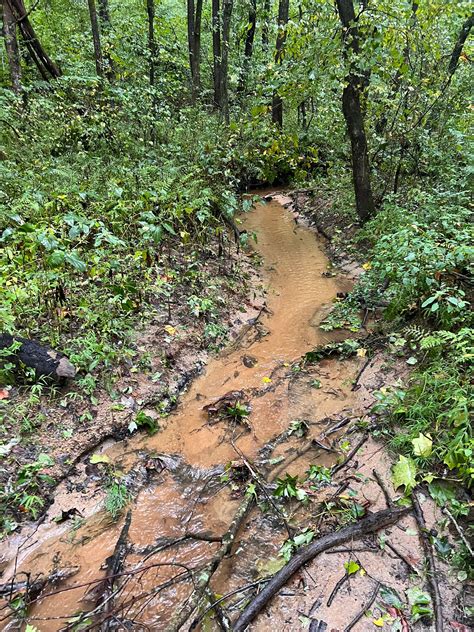 The West House Trail Greensboro Nc — Hike More Worry Less