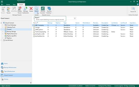 Viewing Veeam Cloud Connect Report Veeam Cloud Connect Guide