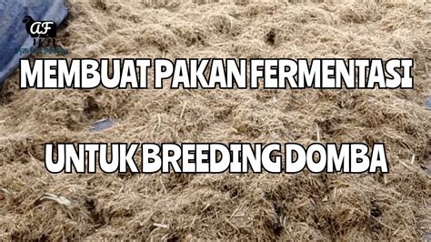 Membuat Pakan Fermentasi Untuk Breeding Domba Youtube