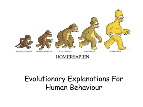 Ppt Evolutionary Insights Into Human Behavior And Sexual Selection Powerpoint Presentation