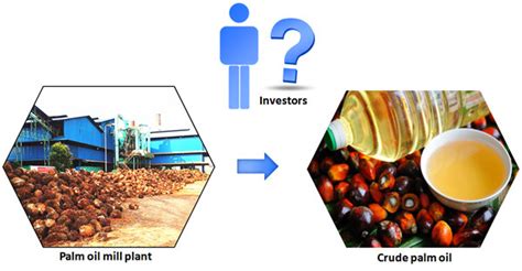 How To Start A Palm Oil Processig Business In Nigeria Industry News