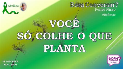 Voc S Colhe O Que Planta Boraconversarjanebarbosa Youtube